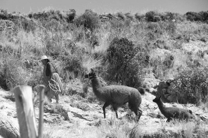 PolsterDesign Meisterwerkstatt - Image 4